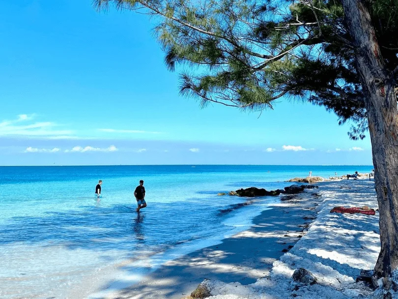 Practical Information for Visitors