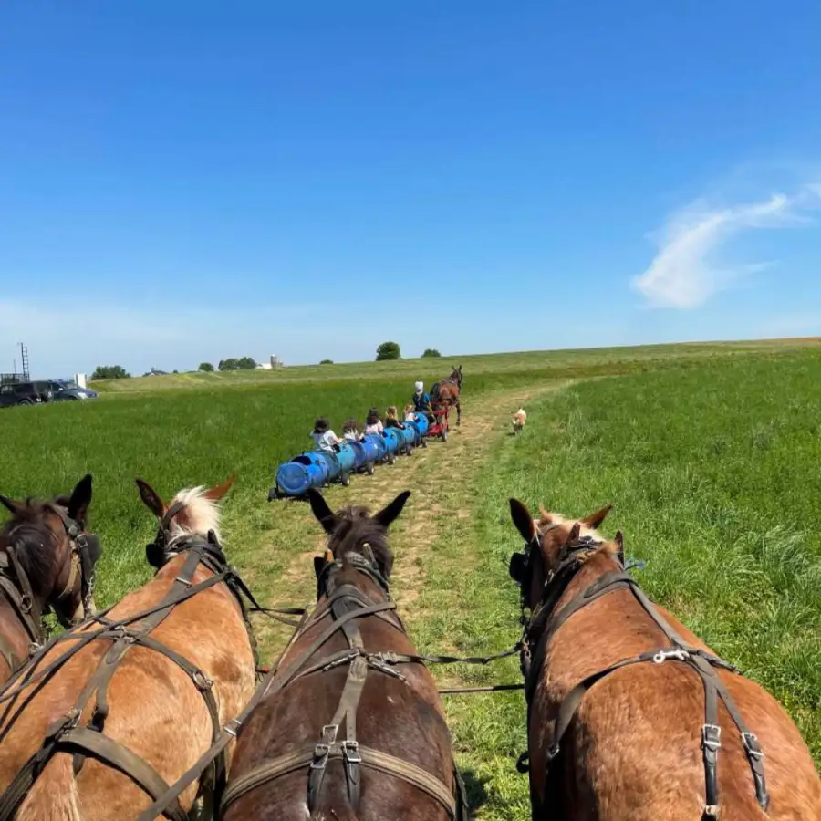Old Windmill Farm our in Lancaster