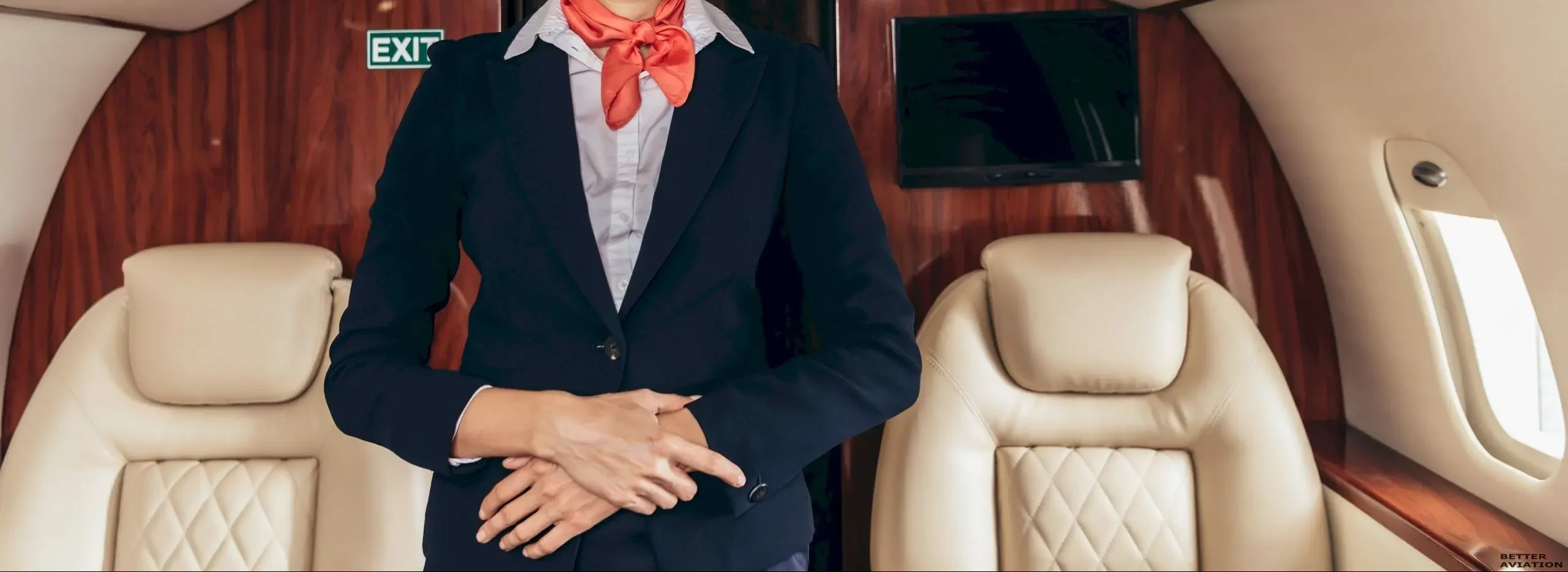 VIP Flight Attendant