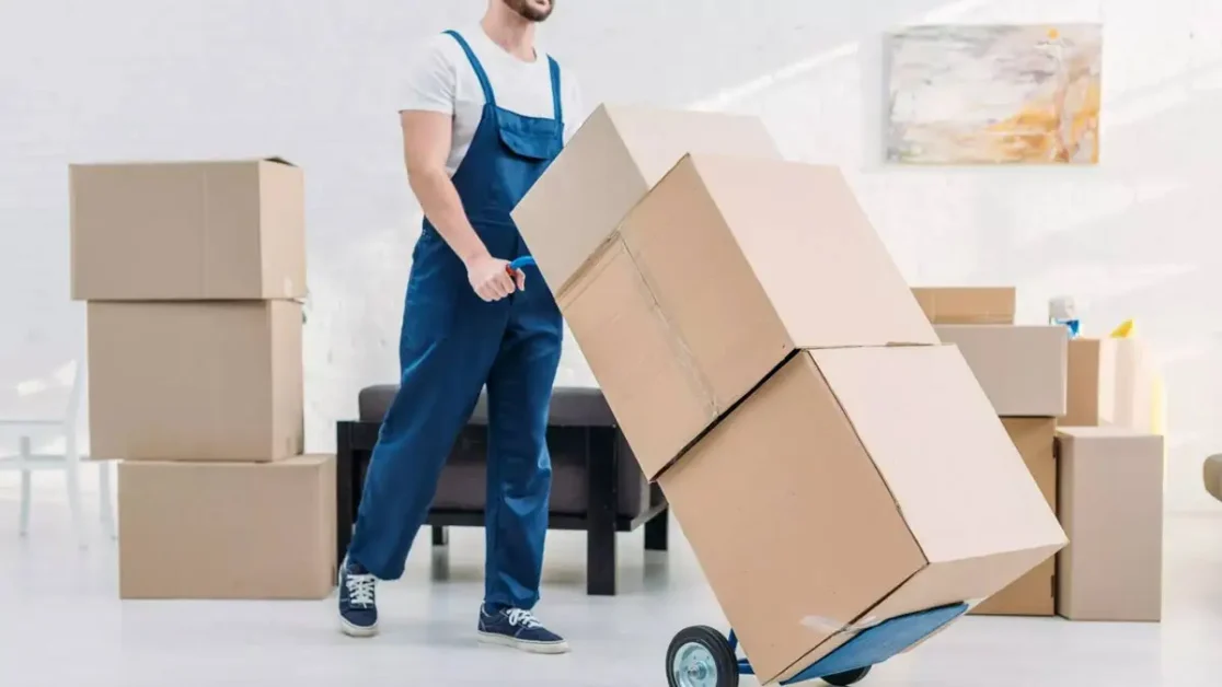 Top 10 Benefits of Choosing Mississauga Movers for Your Relocation