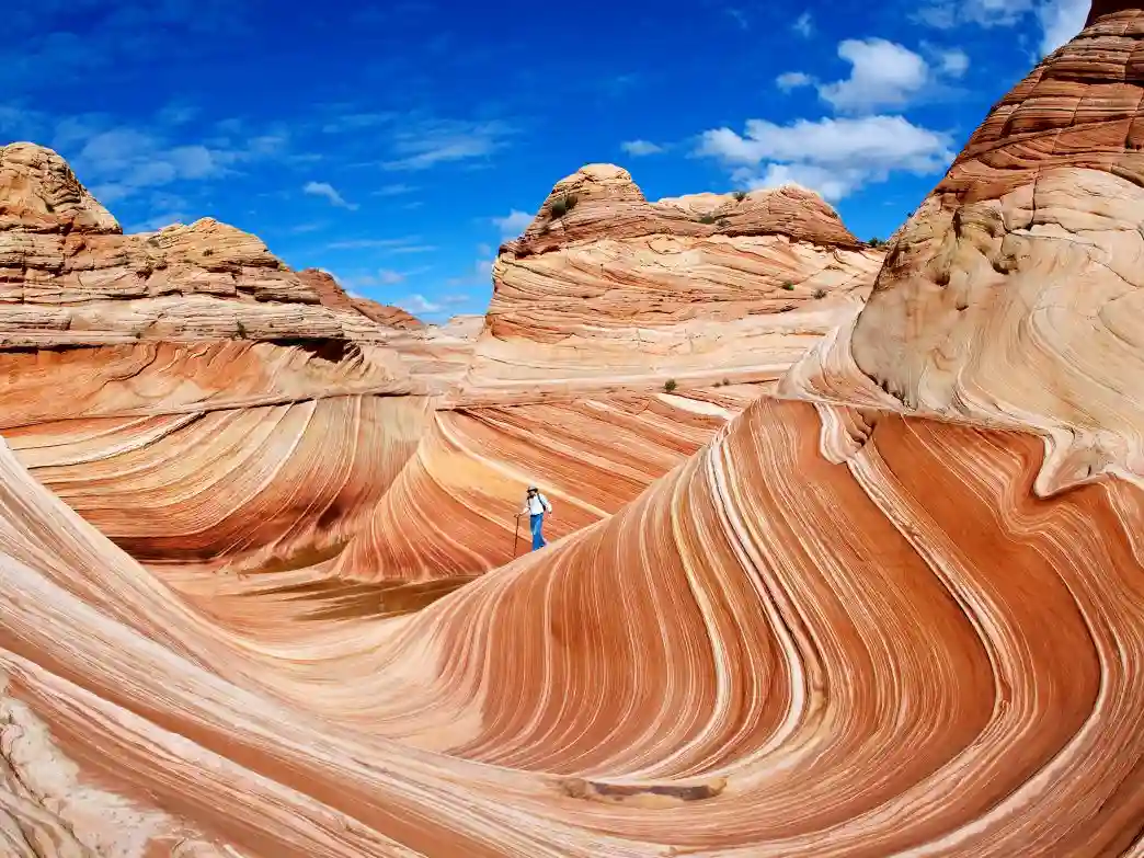 The Call of the Canyons