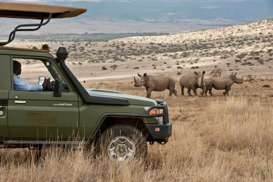 Which African Safari Is Cheapest: 6 Destinations