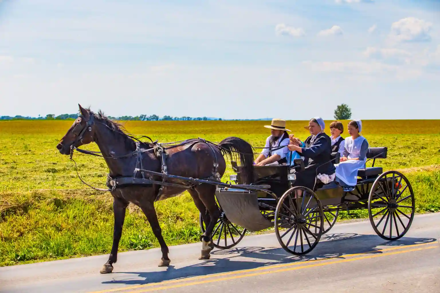 Immerse Yourself in Amish Culture