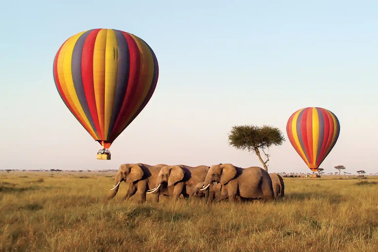 Go for Hot Air Balloon Rides africa
