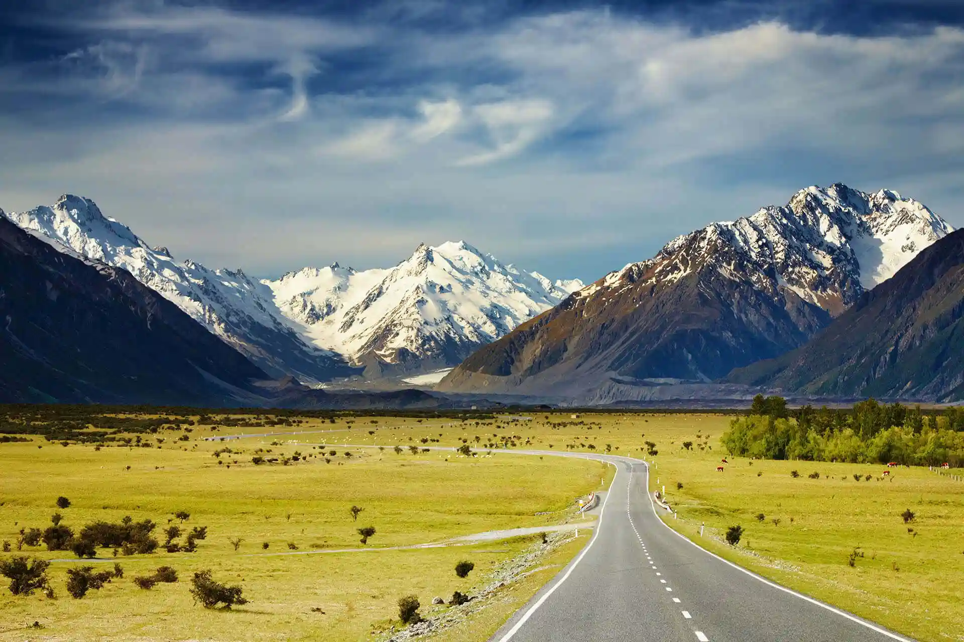 Enthralling Trails of New Zealand