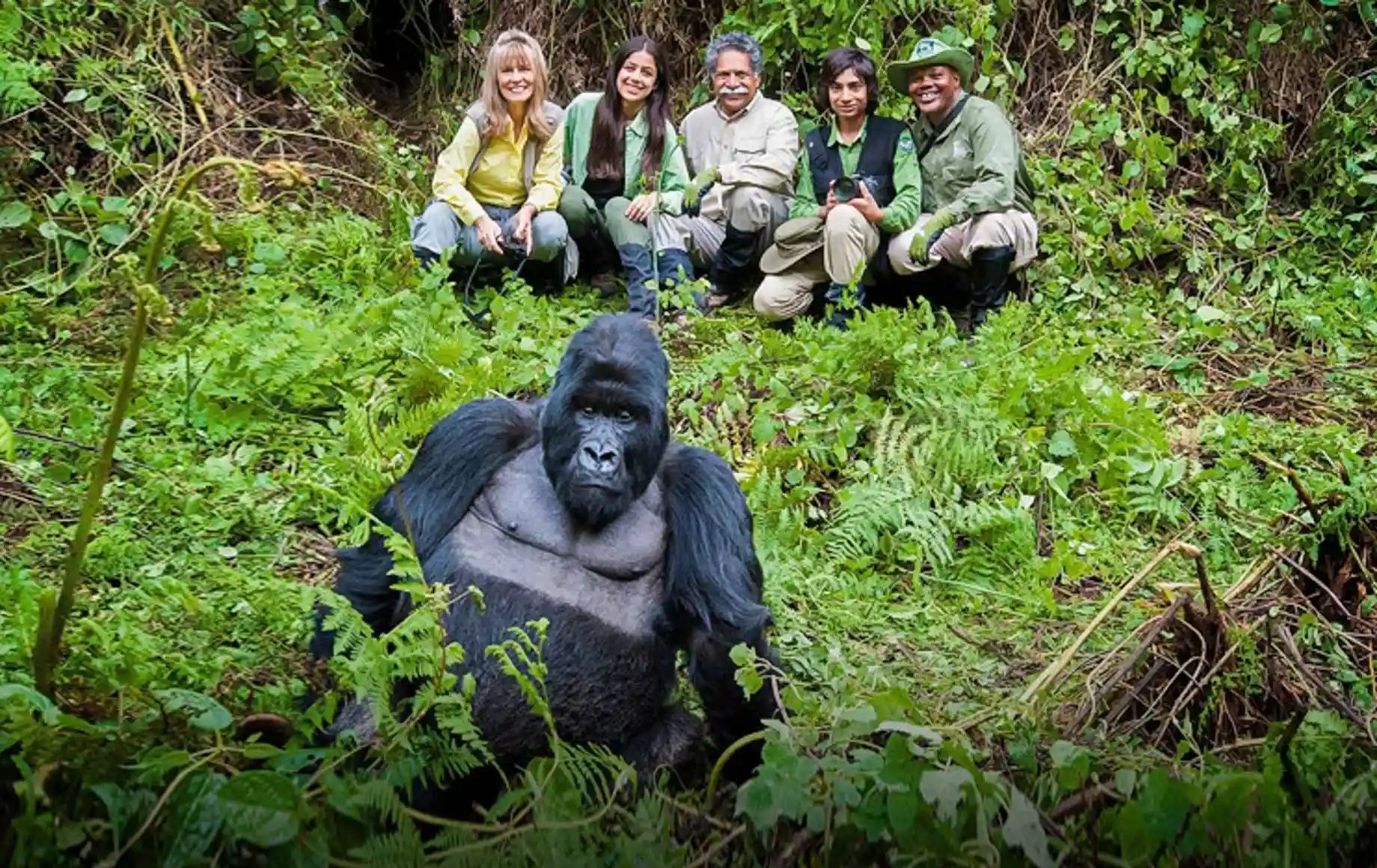 Gorilla Trekking africa
