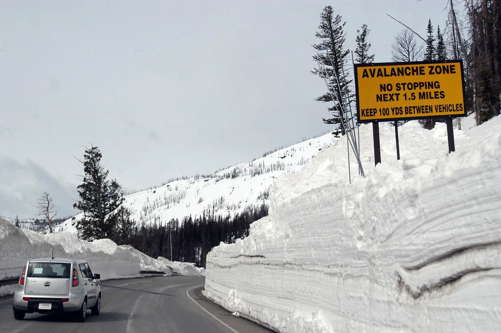 Worst Time to Visit Yellowstone