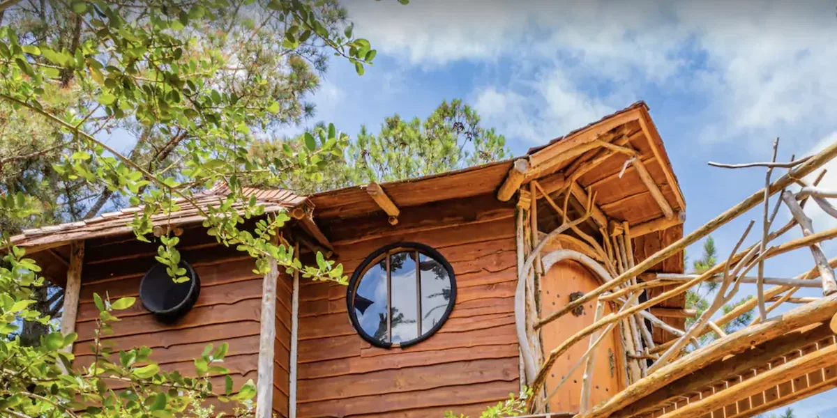 The Hobbit’s Nest Treehouse in Paige, TX