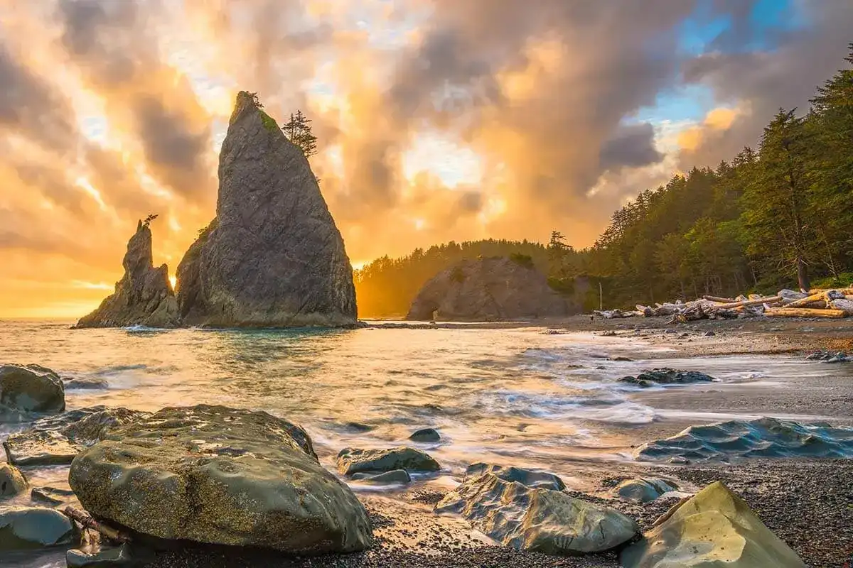 Olympic National Park.