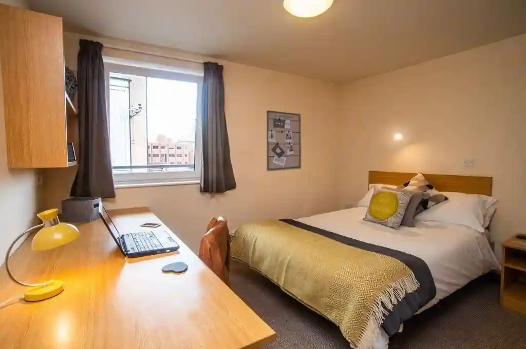 Rent Out a Room or Property