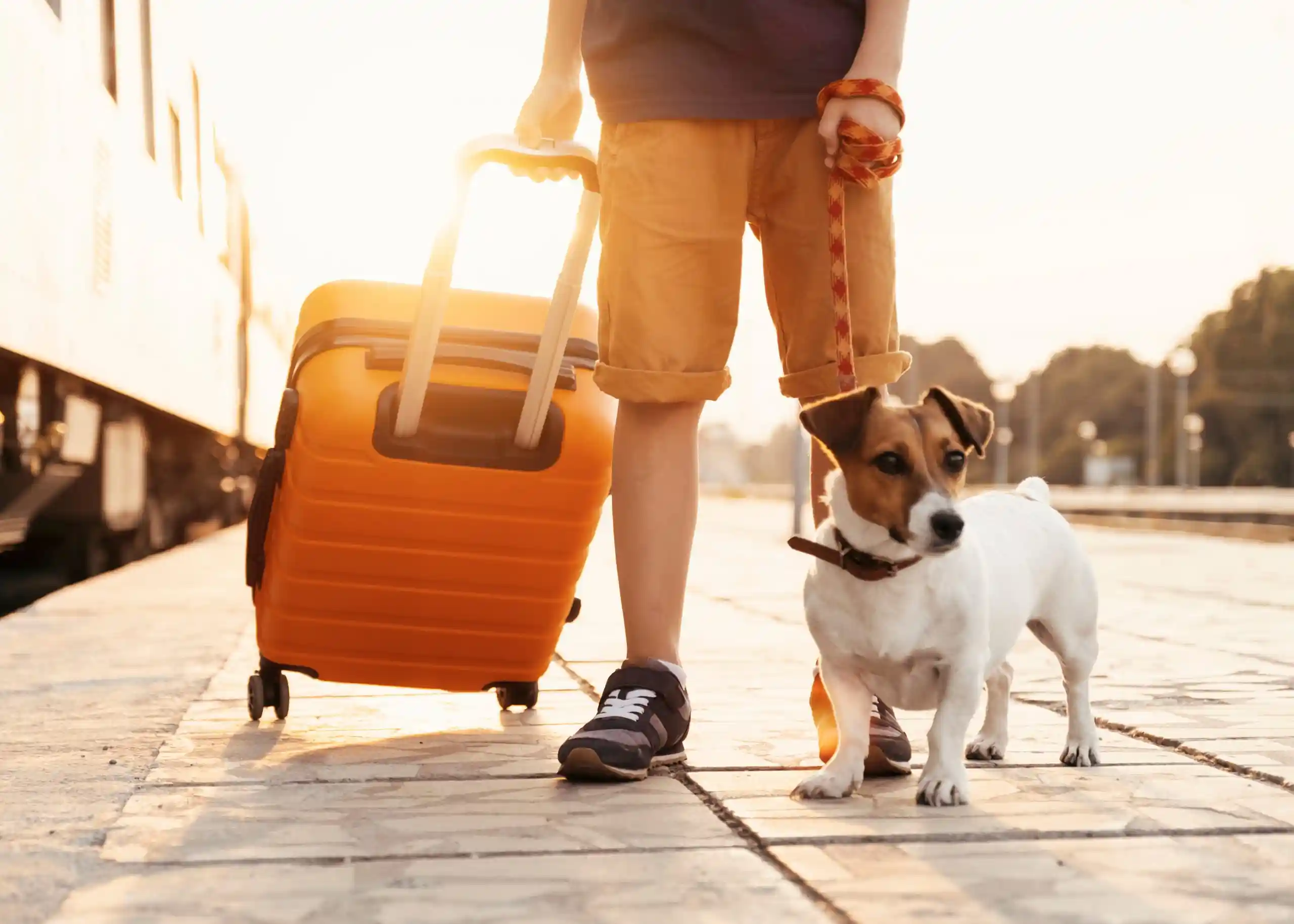 Traveling with Pets: 6 Pet-Friendly Vacation Home Ideas
