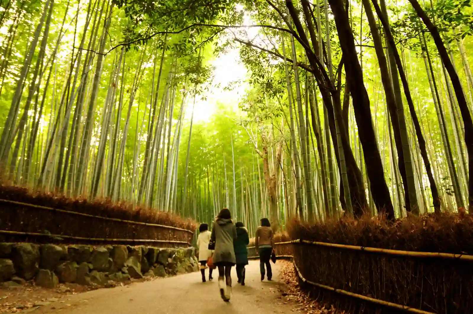 Must Go Places in Kyoto