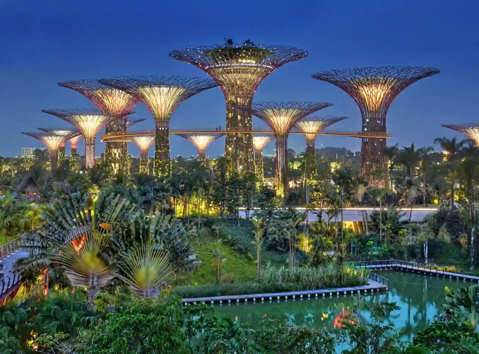 Exploring the Gardens by the Bay