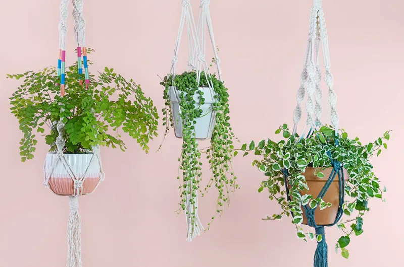 Create Your Own Macrame Hanging Planter