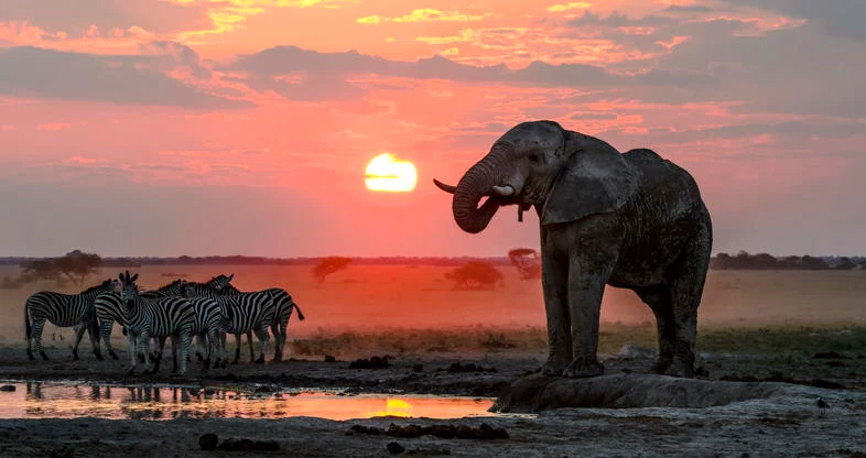 Nxai Pan National Park, Botswana