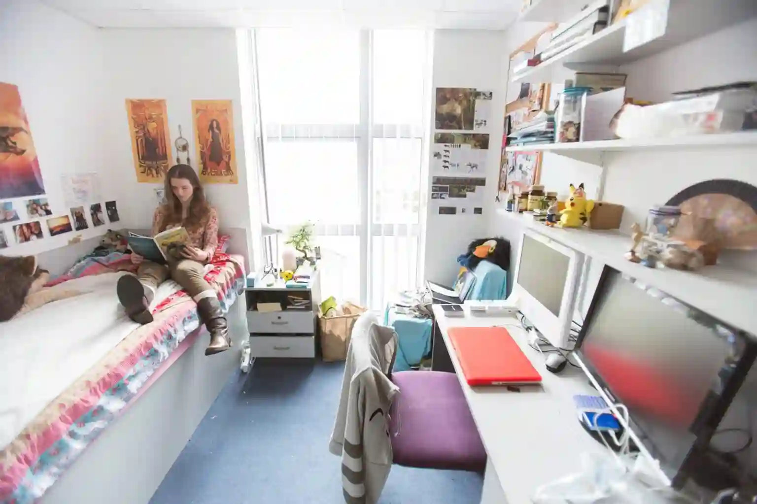 Accommodation Options