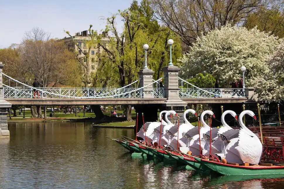 Public Garden, Make Way for Ducklings, & Swan Boats