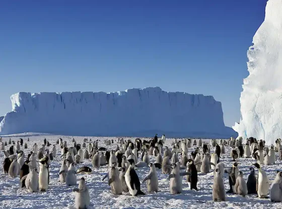 Visiting Antarctica: A Journey to the Frozen Frontier