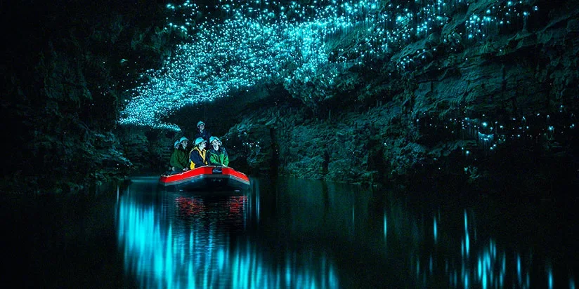 Waitomo Caves New Zealand