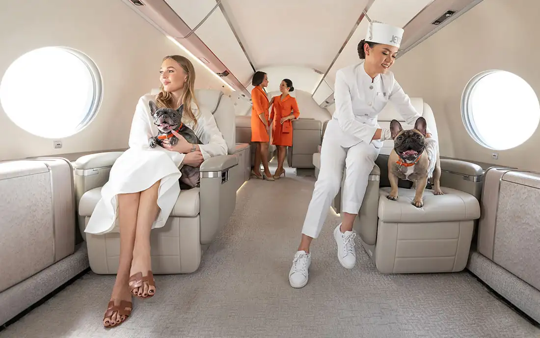 Luxury in the Skies: What to Expect When You Charter a Private Jet 