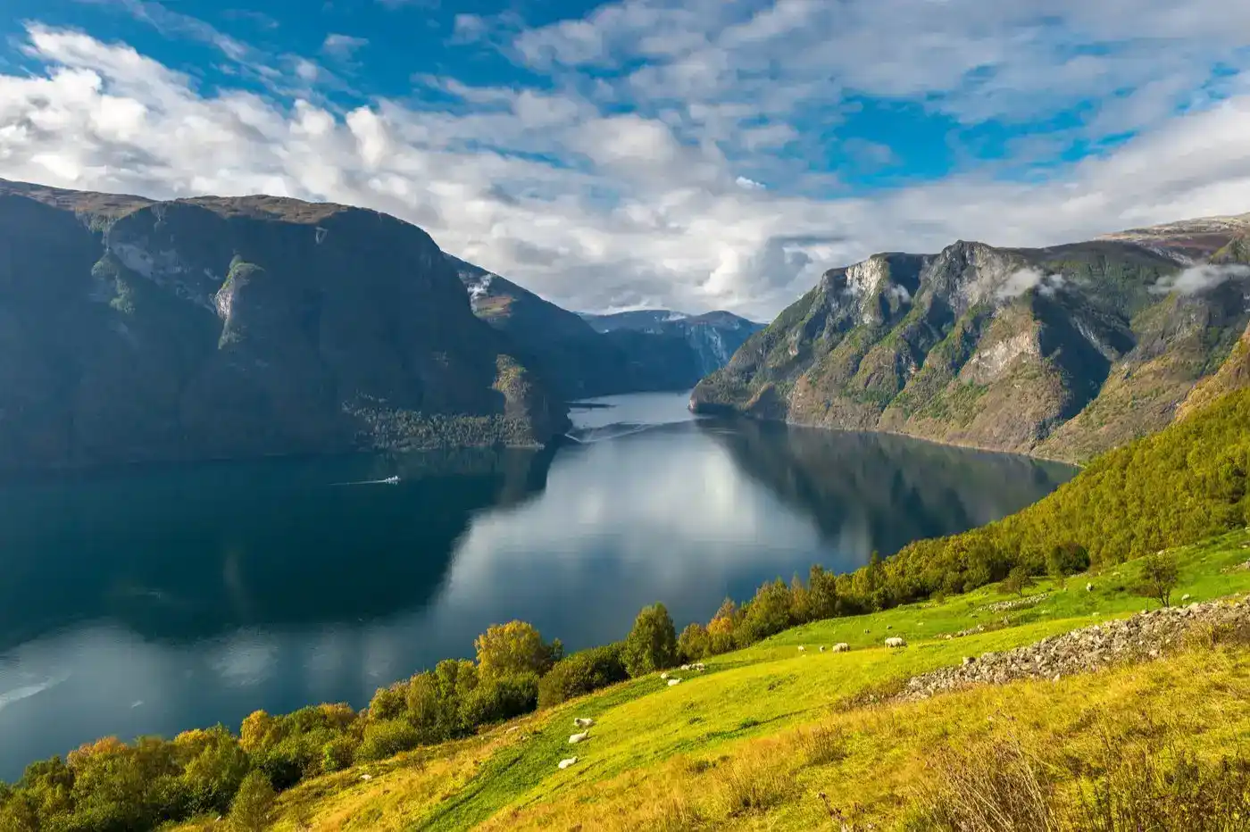 The Serene Sognefjord