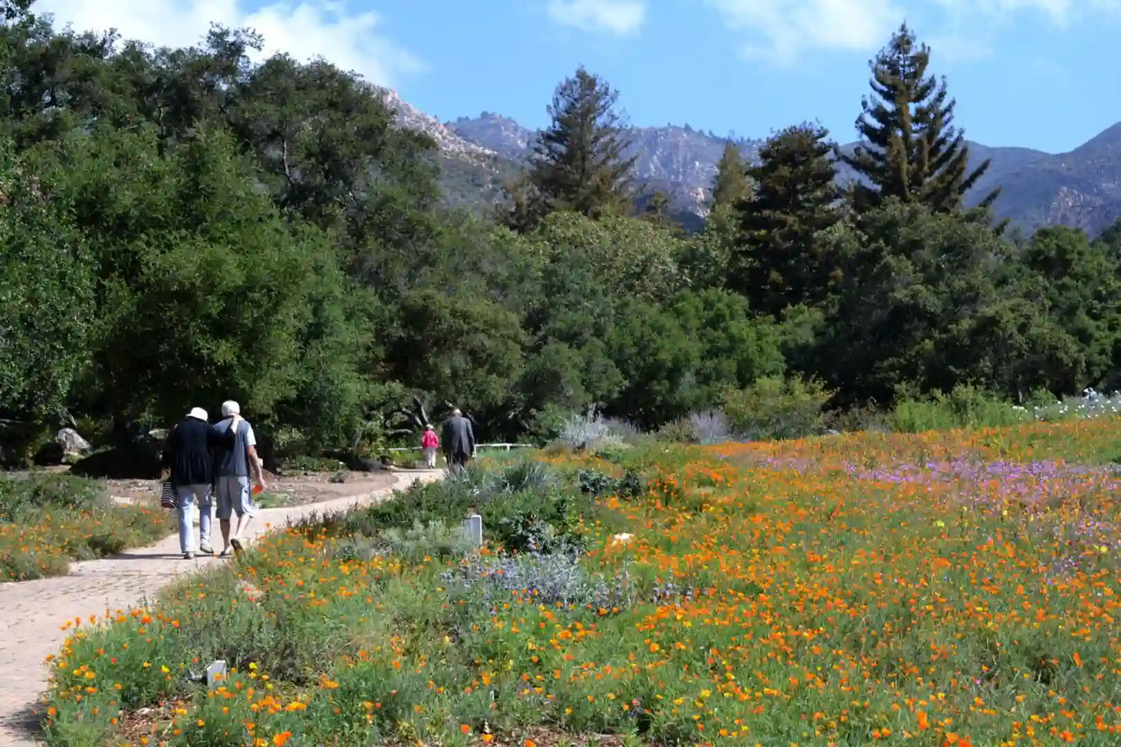 Botanic Garden in Santa Barbara