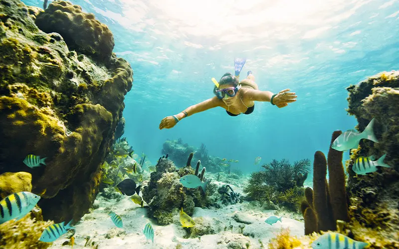 Snorkeling Tour in Isla Mujeres