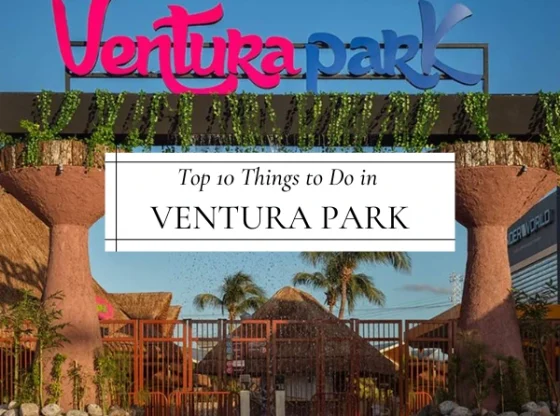 Top 10 Things to Do in Ventura Park A Journey of Discovery in Cancun
