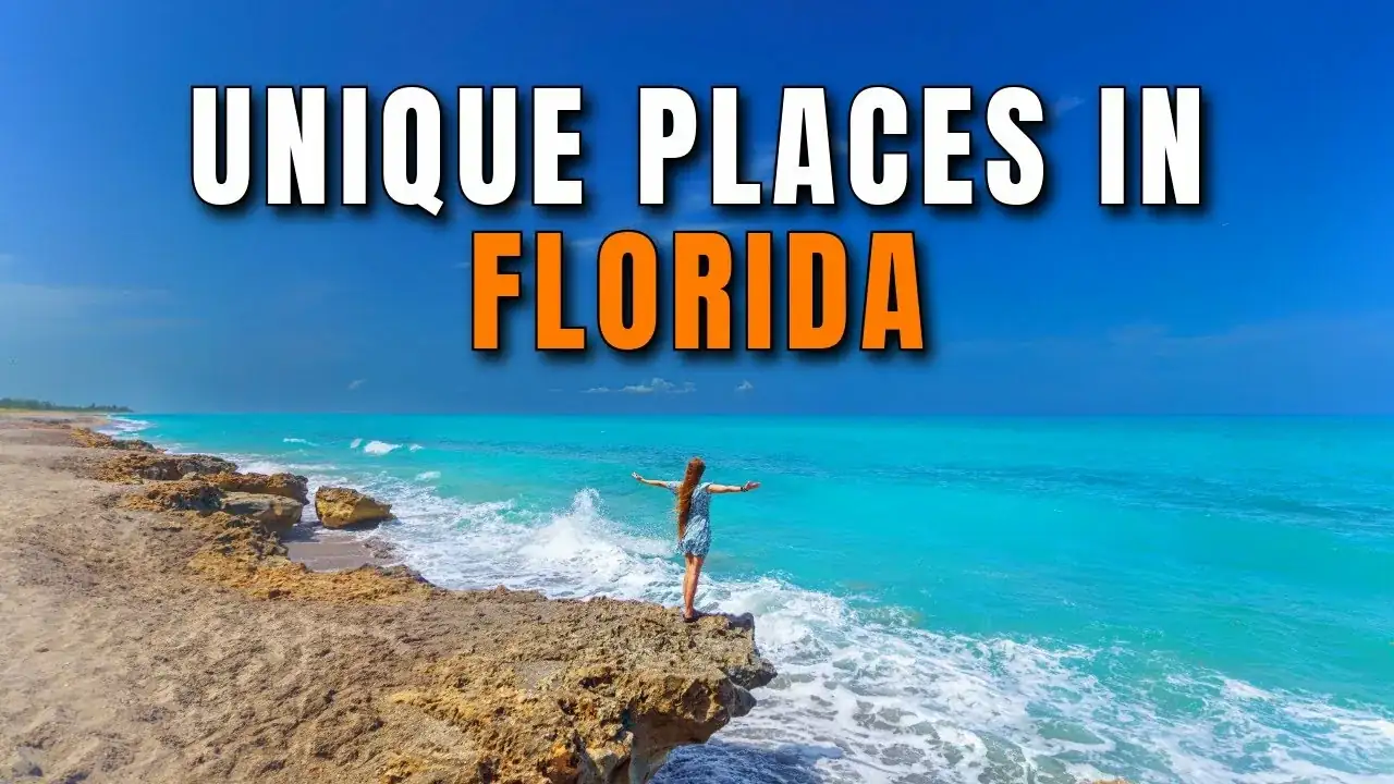 15 Budget-Friendly Places to Go for Your Birthday in Florida