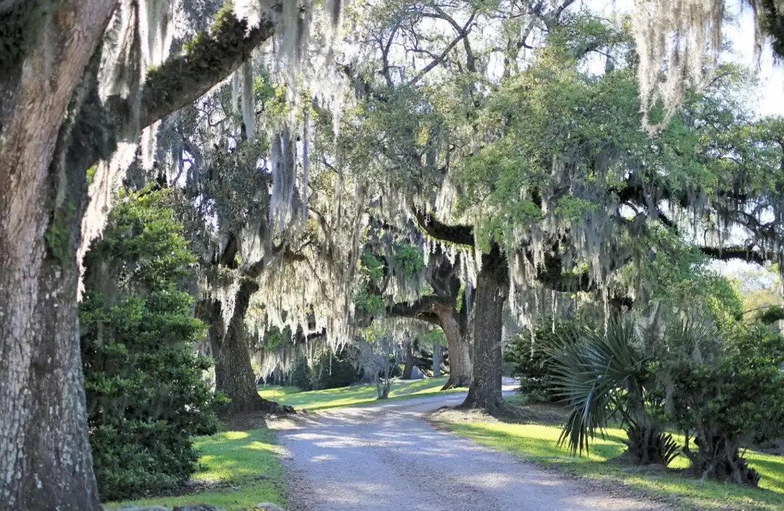 Avery Island