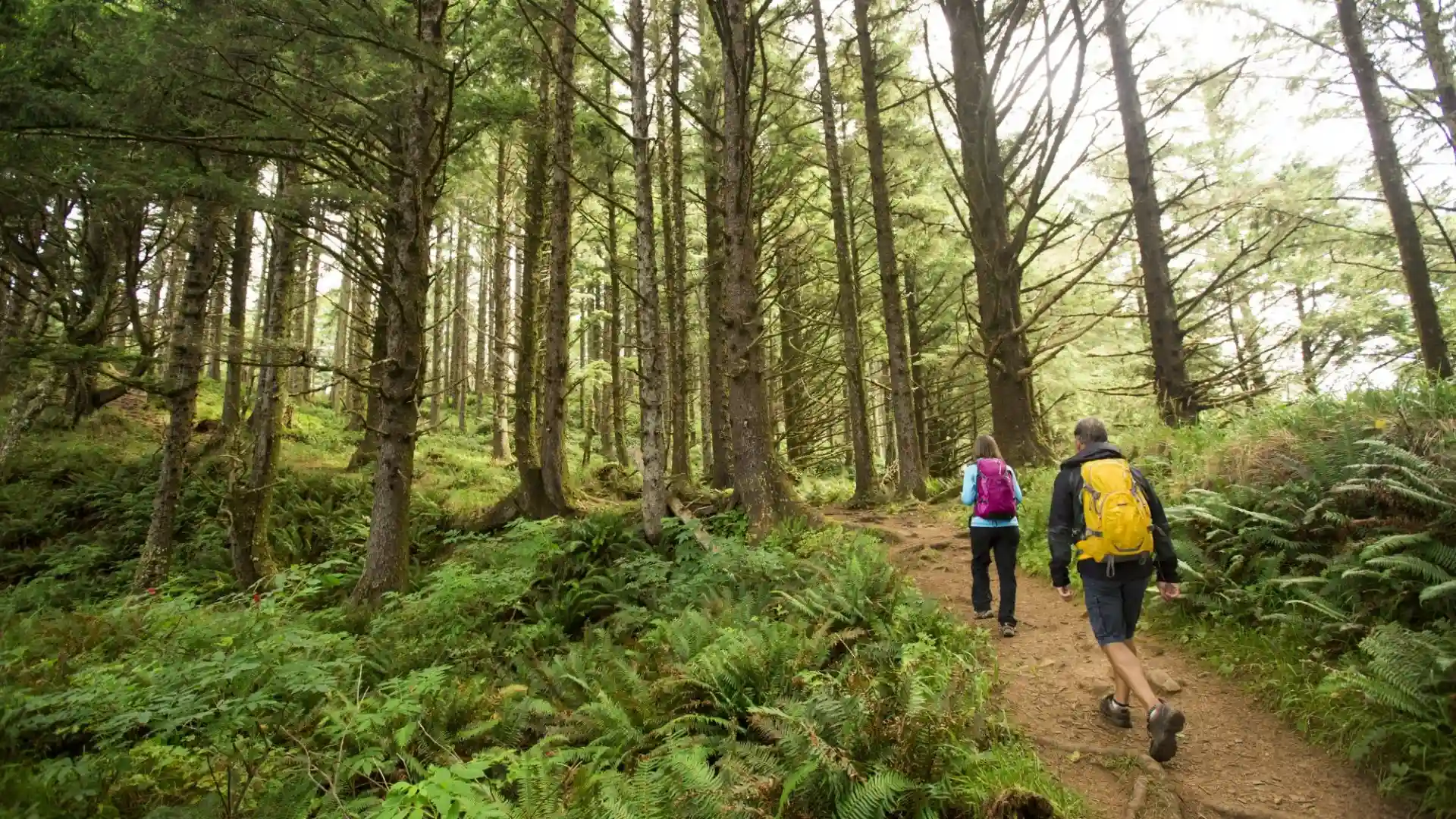 Explore Hiking Trails Pendleton oregon