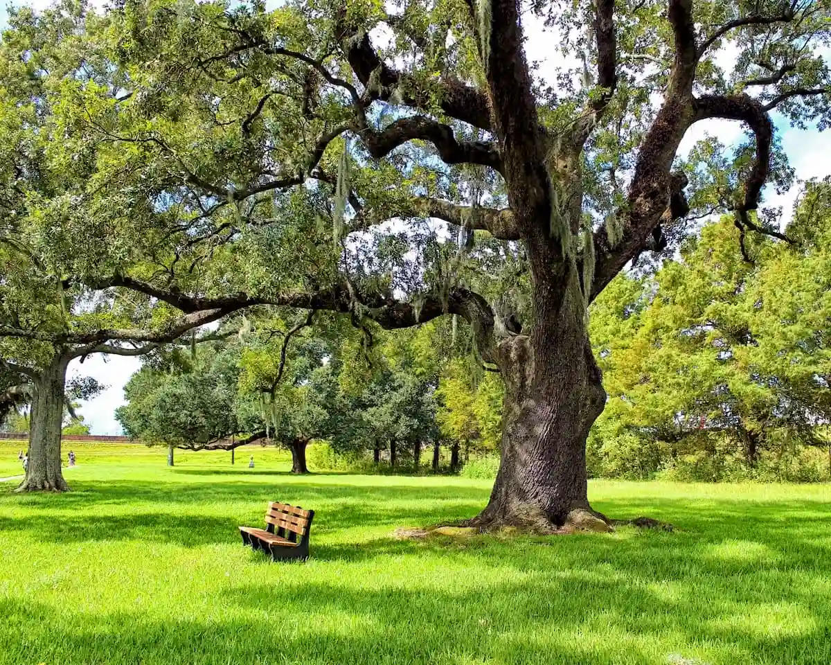 Jean Lafitte National Historical Park and Preserve