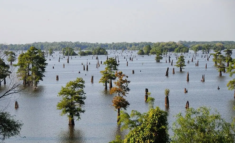 The Atchafalaya Basin