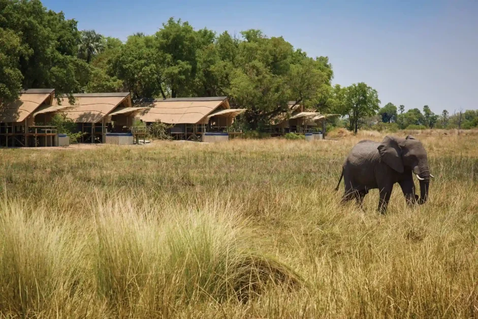 Final Information to Eco-Pleasant Safari Lodges in South Africa