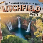 Top 5 Amazing Things to Do on Your Litchfield Visit
