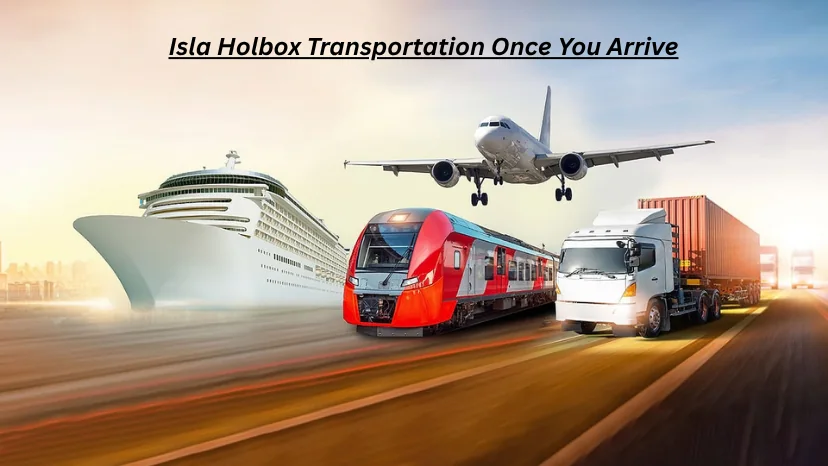 How Do You Get to Isla Holbox? Your 2025 Travel Guide 9 Isla Holbox Transportation – Once You Arrive