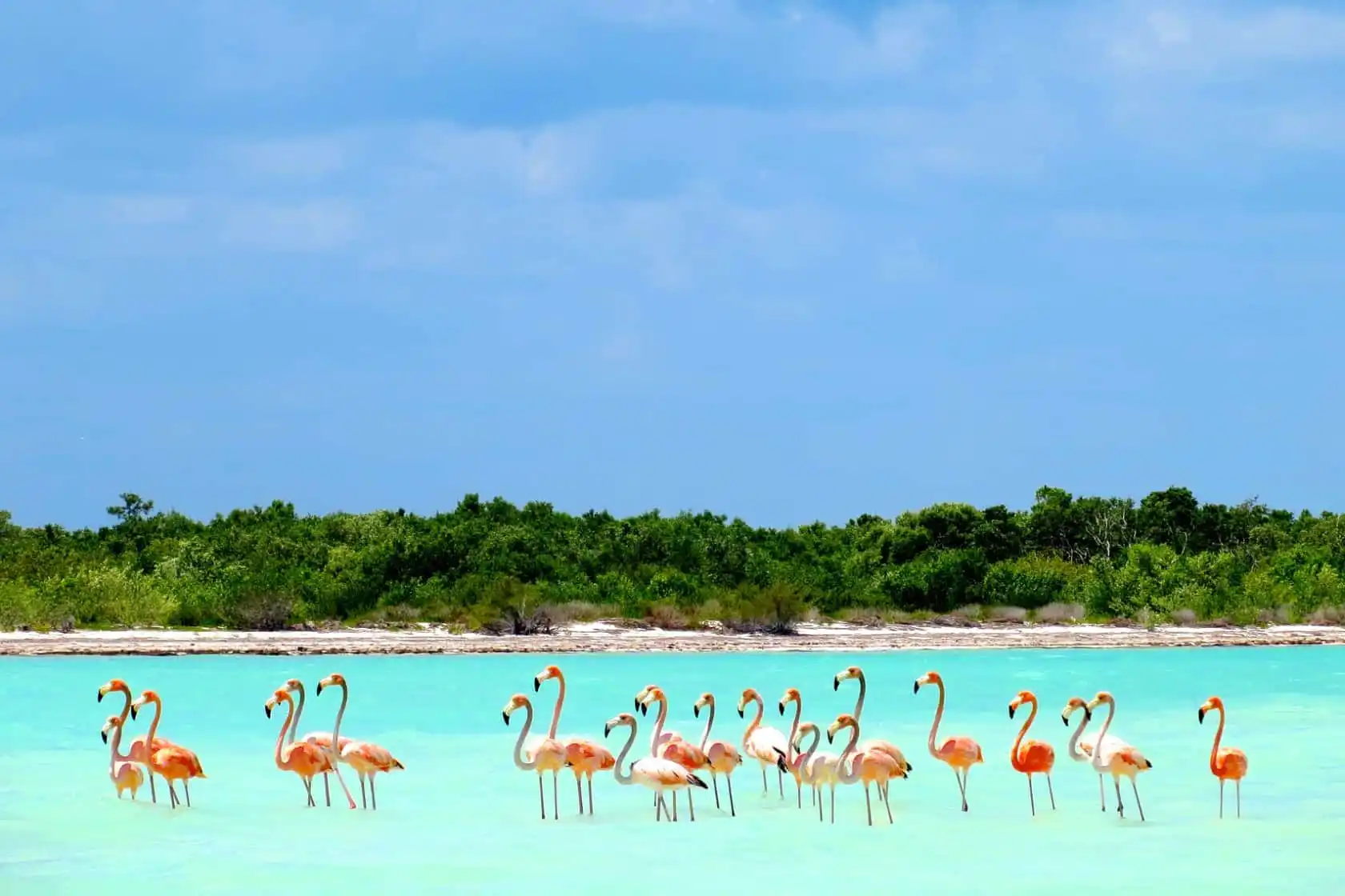 How Do You Get to Isla Holbox? Your 2025 Travel Guide 1 Isla