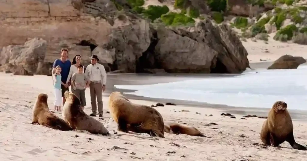 Common Mistakes to Avoid While Choosing a Travel Agent for Your Trip to Australia 3 Australian wildlife tours