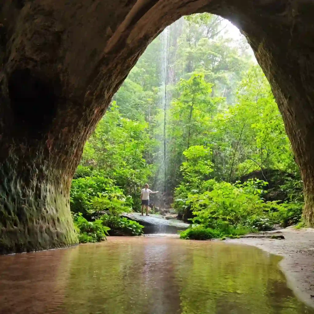Amazon Caves