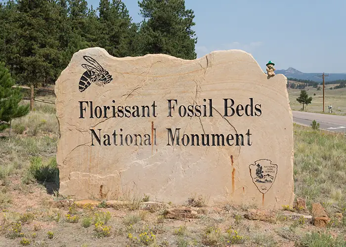 13 Incredible Day Trips from Colorado Springs (I’ve Tried Them All) 11 Florissant Fossil Beds National Monument