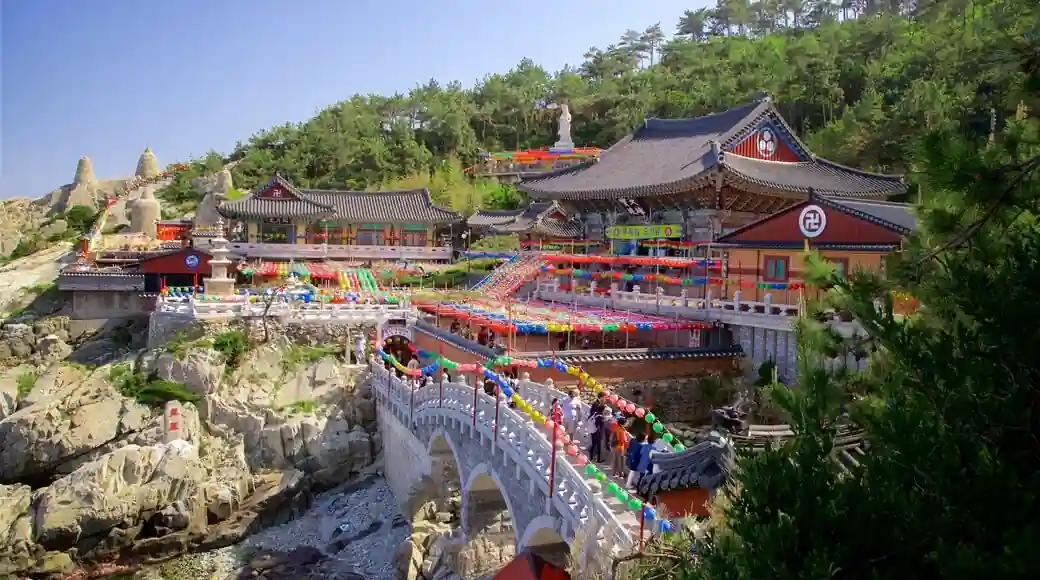 21 Things to Do in Busan That Locals Secretly Love 17 Haedong Yonggungsa at Sunrise Locals Spiritual Hour