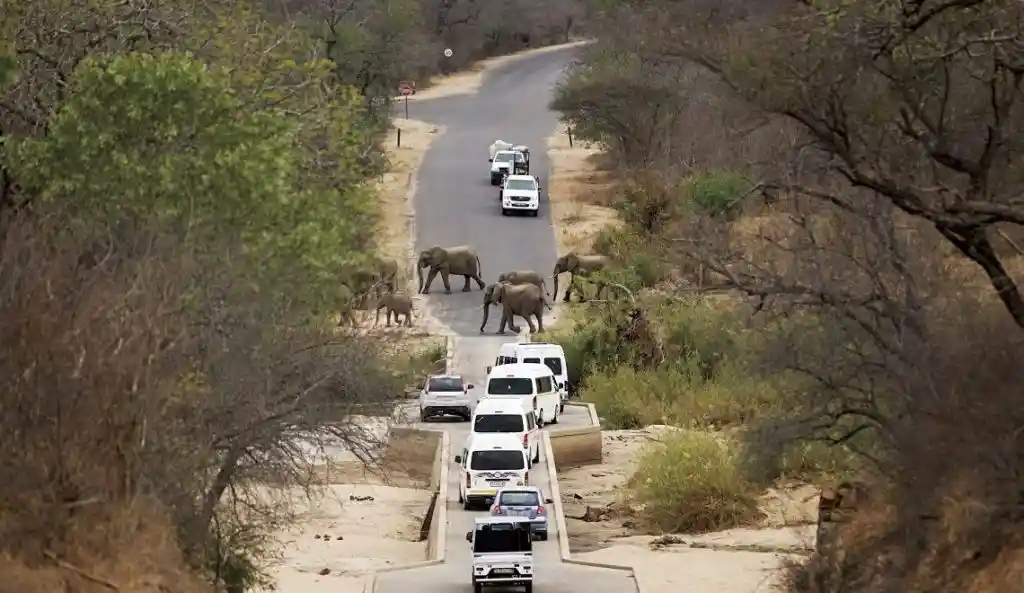 South Africa – Kruger National Park Self Drive
