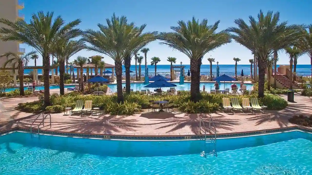 The Pool Beachfront