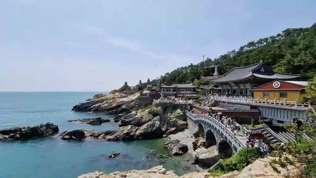 21 Things to Do in Busan That Locals Secretly Love