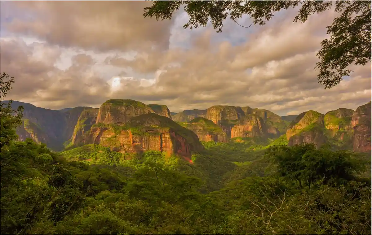 Amboro National Park