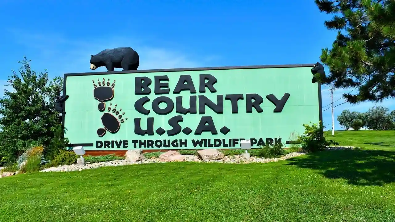 17 Should-See South Dakota Points of interest Close to Fast Metropolis In 2025 - Travelistia 16 Bear Country USA
