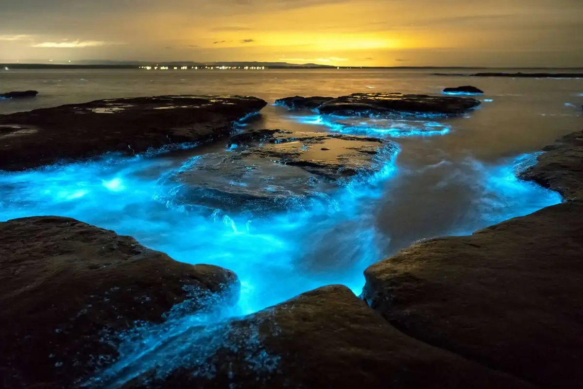 Puerto Rico 5 Days With out A Automotive: Stroll & Uber Itinerary (2025) - Travelistia 13 Bioluminescent Bay Magic