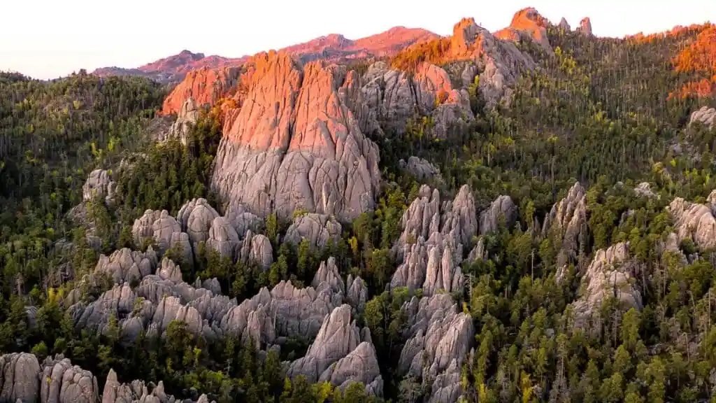 17 Should-See South Dakota Points of interest Close to Fast Metropolis In 2025 - Travelistia 13 Black Hills National Forest