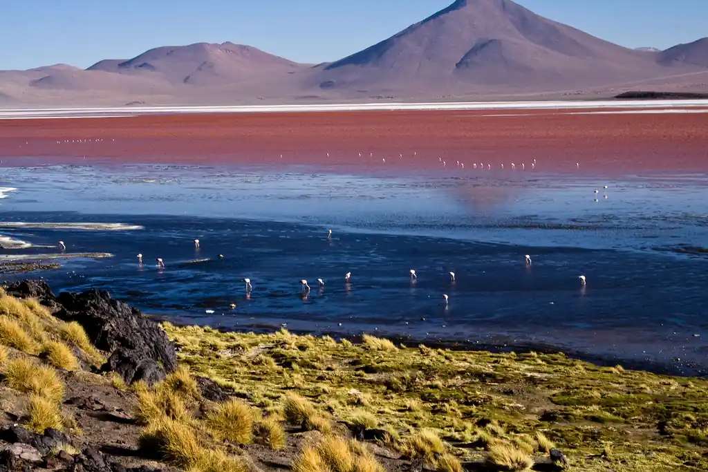 Laguna Colorada Eduardo Avaroa Reserve