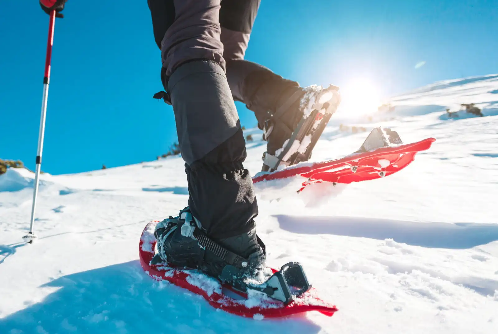 6 Tips to Stay Warm and Safe While Snowshoeing